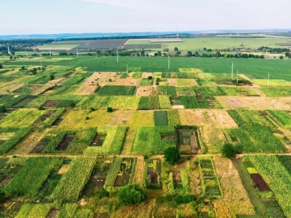 Arttech Maulshree Greens Palwal